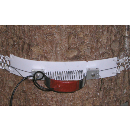 Strain gage based tree growth-sensor